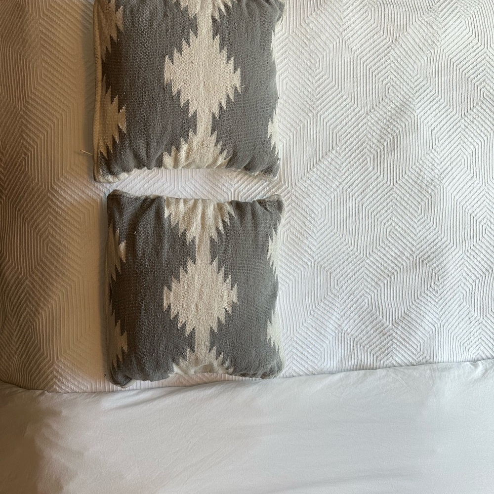 West Elm Tecca Accent Pillows